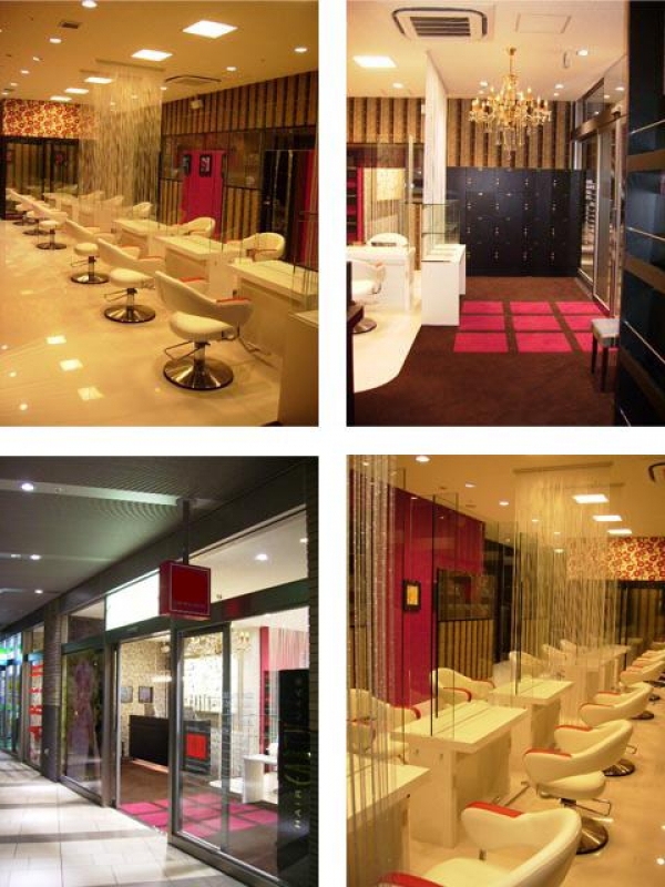 ���Ƽ��ݣ�