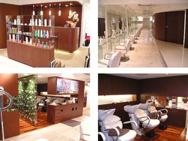 ���Ƽ��ݣ�